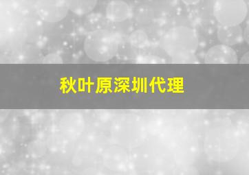 秋叶原深圳代理