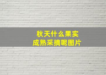 秋天什么果实成熟采摘呢图片