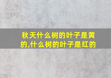 秋天什么树的叶子是黄的,什么树的叶子是红的