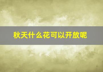 秋天什么花可以开放呢