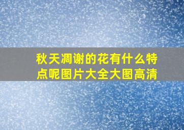 秋天凋谢的花有什么特点呢图片大全大图高清