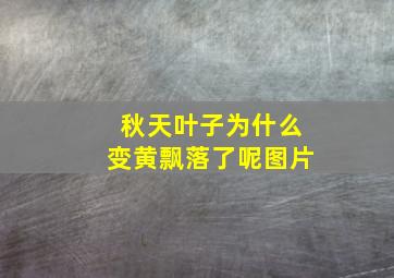 秋天叶子为什么变黄飘落了呢图片