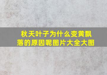 秋天叶子为什么变黄飘落的原因呢图片大全大图