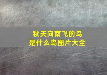 秋天向南飞的鸟是什么鸟图片大全