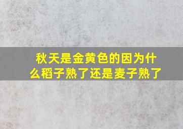 秋天是金黄色的因为什么稻子熟了还是麦子熟了