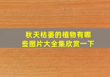 秋天枯萎的植物有哪些图片大全集欣赏一下