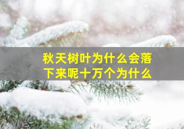 秋天树叶为什么会落下来呢十万个为什么