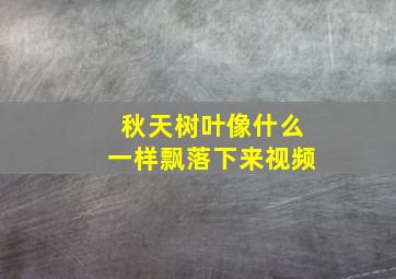 秋天树叶像什么一样飘落下来视频