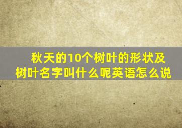 秋天的10个树叶的形状及树叶名字叫什么呢英语怎么说