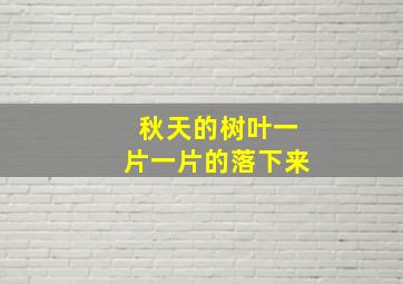 秋天的树叶一片一片的落下来