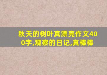 秋天的树叶真漂亮作文400字,观察的日记,真棒棒