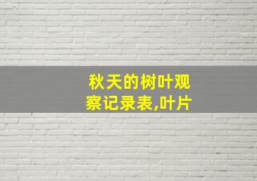 秋天的树叶观察记录表,叶片