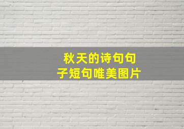 秋天的诗句句子短句唯美图片