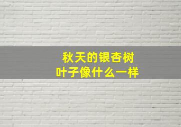 秋天的银杏树叶子像什么一样