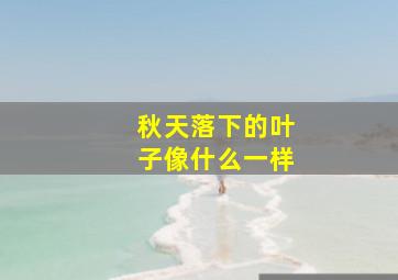 秋天落下的叶子像什么一样