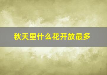 秋天里什么花开放最多