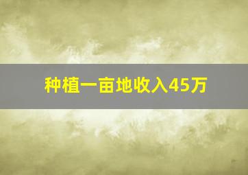 种植一亩地收入45万