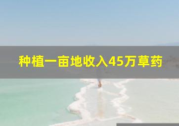 种植一亩地收入45万草药