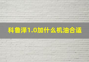 科鲁泽1.0加什么机油合适