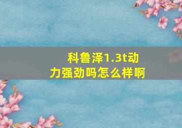 科鲁泽1.3t动力强劲吗怎么样啊