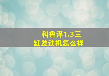 科鲁泽1.3三缸发动机怎么样