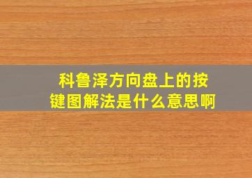 科鲁泽方向盘上的按键图解法是什么意思啊