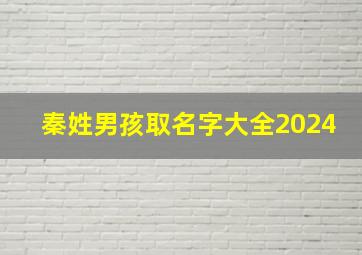 秦姓男孩取名字大全2024