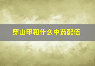 穿山甲和什么中药配伍