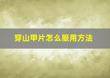 穿山甲片怎么服用方法