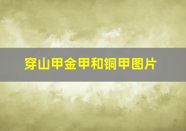 穿山甲金甲和铜甲图片