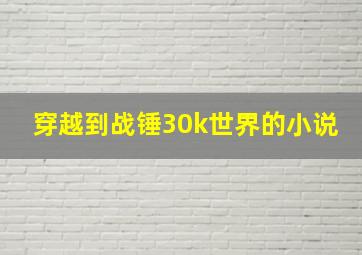 穿越到战锤30k世界的小说