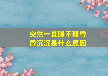 突然一直睡不醒昏昏沉沉是什么原因