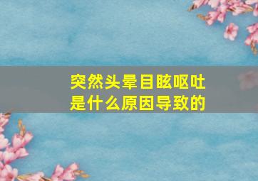 突然头晕目眩呕吐是什么原因导致的