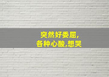 突然好委屈,各种心酸,想哭