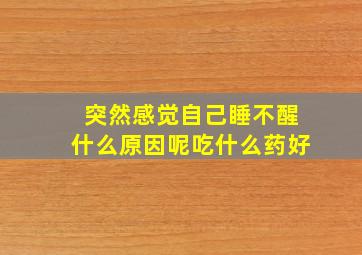 突然感觉自己睡不醒什么原因呢吃什么药好