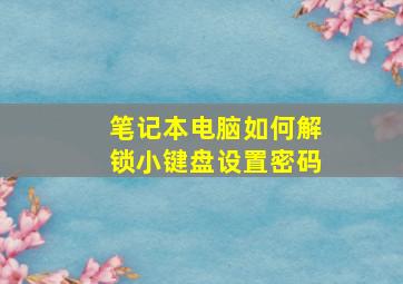 笔记本电脑如何解锁小键盘设置密码