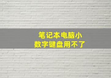 笔记本电脑小数字键盘用不了