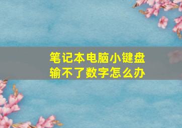 笔记本电脑小键盘输不了数字怎么办