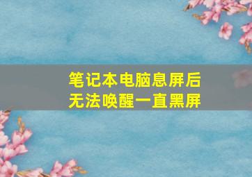 笔记本电脑息屏后无法唤醒一直黑屏