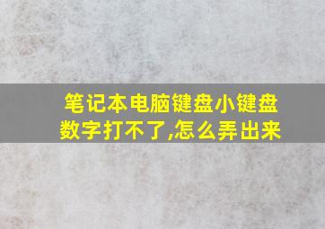 笔记本电脑键盘小键盘数字打不了,怎么弄出来