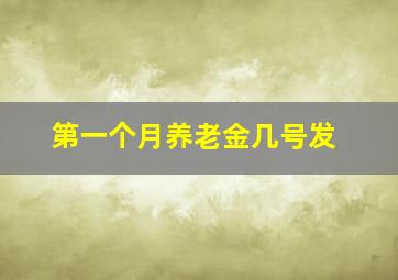 第一个月养老金几号发