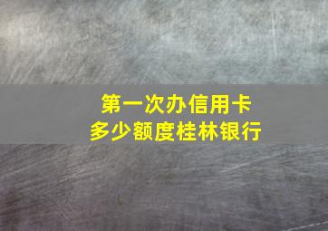 第一次办信用卡多少额度桂林银行