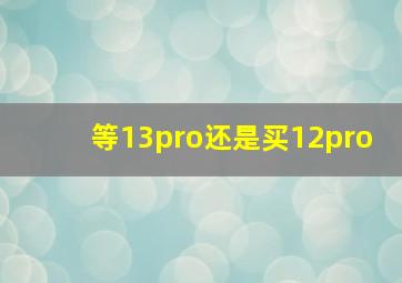 等13pro还是买12pro