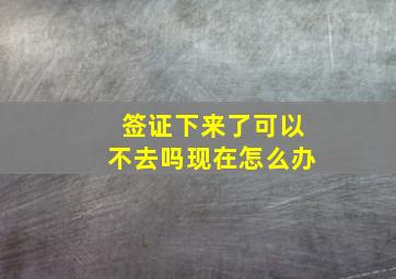 签证下来了可以不去吗现在怎么办