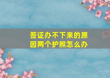 签证办不下来的原因两个护照怎么办