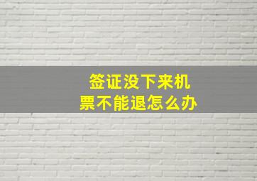 签证没下来机票不能退怎么办