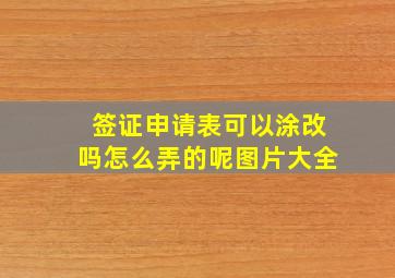 签证申请表可以涂改吗怎么弄的呢图片大全