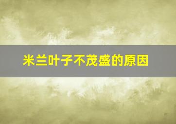 米兰叶子不茂盛的原因