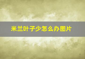 米兰叶子少怎么办图片