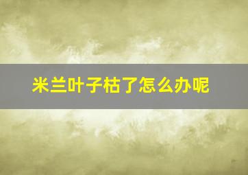 米兰叶子枯了怎么办呢